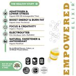 Sparkling Organic Limoncello Energy & Focus Drink | Green Tea (Natural Caffeine), L-Theanine, Ashwagandha, |12oz. Cans (Pack of 12) - Image 3